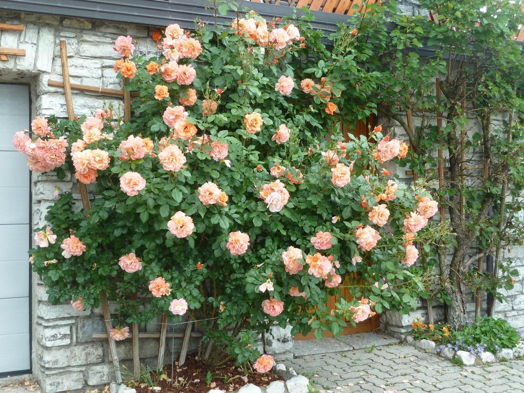 Gaestehaus Sonnenhang Apartment Mondsee Luaran gambar